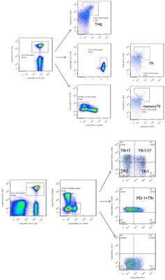 Altered Distribution of Circulating T Follicular Helper-Like Cell Subsets in Rheumatoid Arthritis Patients